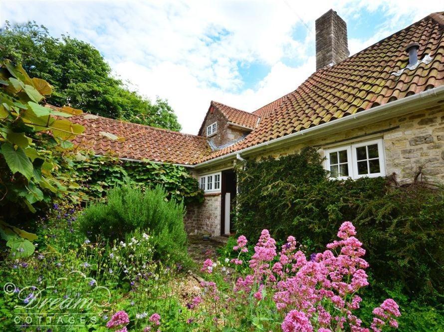Sixpenny Cottage Upwey Екстер'єр фото